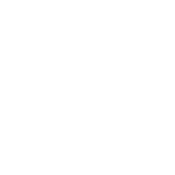 IFM